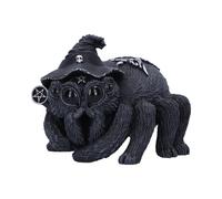 Nemesis Now Cult Cuties Arachnias Spider Witch Figurine