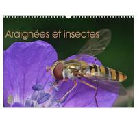 Araignées et insectes (Calendrier mural 2026 DIN A3 vertical), CALVENDO calendrier mensuel: Un calendrier sur les araignées et les insectes qui nous entourent.