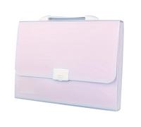 Aramox 13 Pockets Expanding File Folder, PP Accordion File Folder with 12 Index Labels and Handle, 13 X 10.2 in Portable Paper Organizer for Home Office School (Purple)