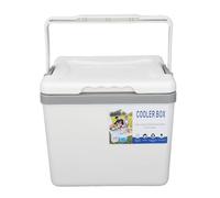 Aramox 6L Portable Cooler Box EPS Insulated Cooler Box Large Capacity Hard Case with Long Lasting Temperature Hold Carry Handle for Picnic Camping Fishing Home Use (White)