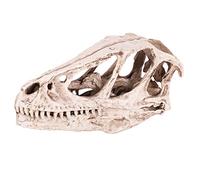 Aramox Dinosaur Skull Model, High Simulation Animal Skeleton Model for Home and Office Decor, Teaching Tool for Ancient Animal Familiarity, Present for Dinosaur Enthusiasts, Made of
