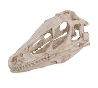 Aramox Dinosaur Skull Model, High Simulation Vivid Ancient Animal Skeleton for Home Office Decoration
