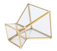Aramox Glass Plant Container Geometric Glass Terrarium 8.5 X 8.5 X 10cm Golden Mini Display Holder with Transparent Metal Lines for Dining Table Window Balcony Living Room Decor