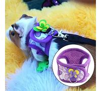 Aramox Squirrel, Hamster, Chinchilla Harness Vest with Leash, Great for Playing, Exercising, and Outdoor Adventures, Ideal Small Pets (M)