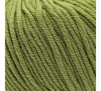 Aran-Weight 100% Superwash Fine Merino Wool Knitting and Crochet Yarn, Mulesing-Free, 50g - Purely Merino Aran 3671 Spring Green
