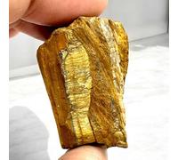 arana's Raw Tiger Eye Pocket Stone 3-5cm - Always Take It With You Lucky Amulet - Natural Healing Stones & Crystals (Tiger Eye)