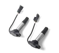 Arashi Ignition Coils Pack of 2 for 848 2008-2010, 848 EVO 2010-2013, 1098 109S 2008-2010, 1198 1199S 2009-2011, 38010144B 38010145B Motorcycle Replacement Accessories Parts