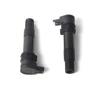 Arashi Ignition Coils Pack of 2 for BMW R1150R ROCKSTER 2002-2005, R1150R 2000-2006, R1150RS 2001-2005, R1150RT 2000-2006, 12-13-7-707-549 Motorcycle Replacement Accessories Parts