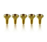 Arashi Rear Brake Disc Rotor Mounting Bolts for Suzuki B-KING GSX 1300 2008-2010, GSX1300R Hayabusa 2008-2020 ABS 2013-2020 Titanium Tapered Torx Screws M8x22 Gold 6 Pcs