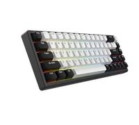 ARBITER Polar 65 - CNC Mechanical Gaming Keyboard - Magnetic Salon Effect Switches, CNC Aluminum Frame, Fast Trigger, 65% Compact, Bright RGB, Double Shot PBT Keycaps -