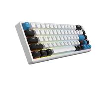 ARBITER Polar 65 - CNC Mechanical Gaming Keyboard - Magnetic Salon Effect Switches, CNC Aluminum Frame, Quick Key, 65% Compact, Bright RGB, Double Shot PBT Keys, Color