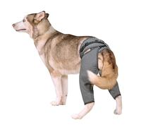Arblina Dog Leg Surgery Recovery Suit, Dog Body Suit for Hind Legs, Post Surgery Recovery Suit for Male & Female Dogs, Protective Leg Sleeves for Small/Medium/Large Dogs, L