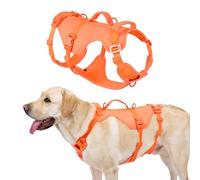 Arblina Escape-proof Dog Harness, No Pull Harness for Medium/Large Dogs, Vibrant Dog Harness with Handle&Front Clip, Lightweight Easy-on Dogs Vest with Multiple Adjustable Points, Orange, S