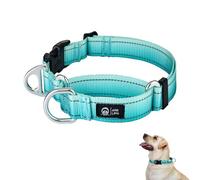 Arblina Martingale Dog Collar, Reflective No-Pull Collar for Large Medium and Small Dogs, No-Escape Nylon Collar for Whippets, Greyhounds, Saluki, American Bully, Turquoise, L