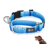 Arblina Martingale Dog Collar, Reflective No-Pull Collar for Large Medium and Small Dogs, No-Escape Slip Dog Collar for Whippets, Greyhounds, Saluki, Blue, S