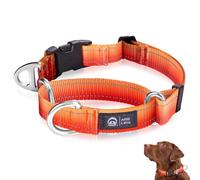 Arblina Martingale Dog Collar, Reflective No-Pull Collar for Large Medium and Small Dogs, No-Escape Slip Dog Collar for Whippets, Greyhounds, Saluki, Orange, L