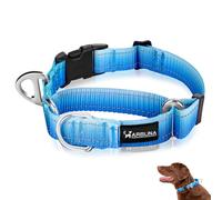 Arblina Martingale Dog Collar, Reflective No-Pull Collar for Large Medium and Small Dogs, No-Escape Slip Dog Collar for Whippets, Greyhounds, Saluki, Blue, L