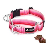 Arblina Martingale Dog Collar, Reflective No-Pull Collar for Large Medium and Small Dogs, No-Escape Slip Dog Collar for Whippets, Greyhounds, Saluki, Pink, M