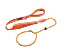Arblina Slip Lead for Dogs, No Pull Slip Lead with Double Handles, Head Halter Training Dog Leash with Hi-vis Light-Reflective Design, Figure of 8 Dog Lead, Orange, 1.3m