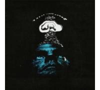 ARBOR LABOR UNION: I HEAR YOU - LP vinyl BRAND NEW