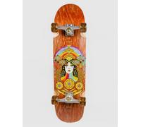 Arbor Cruiser Complete Solstice B4BC Cucharon 32.375
