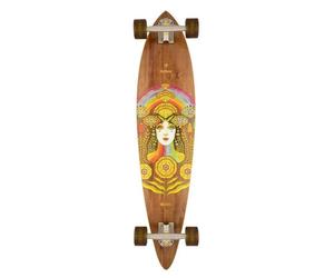 Arbor Solstice B4BC Fish Performance Factory Complete Skateboard Multi 37"