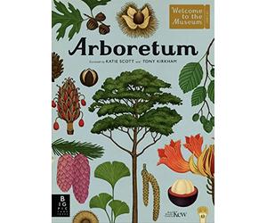 Arboretum: by Tony Kirkham and illustrator Katie Scott (Welcome To The Museum)