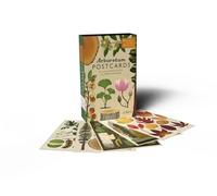 Arboretum Postcards: by illustrator Katie Scott (Welcome To The Museum)