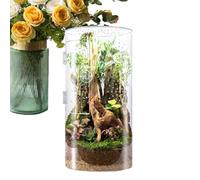 Arborous Reptile Reptile Reding Case Acrylic Tank for Fly Spiders | Front Opening & Closed Waterproof Breeding Case for Tarantulas, Frogs, Mantis, Snails, Small Insects, Terrarium