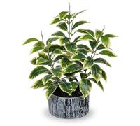 Arborus 14.5" Tall Fake Plants in Pots Artificial White-edged Leaf Plants Indoor Faux Green Plant with Black and White Striped Pots Artificial Greenery for Home Bathroom Bedroom Kitchen Decor