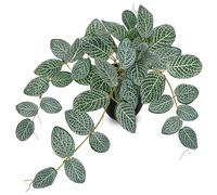 Arborus 17.7" Artificial Plant in Black Pot Realistic Fake Trailing Fittonia Plant Small Artificial Potted Plants for Shelf Desk Bathroom Kitchen Office Décor, Indoor Decorative Faux Greenery Plant