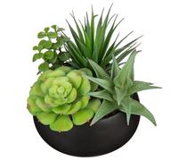 Arborus 17cm Artificial Succulents Plants Potted Indoor Fake Mix Succulents in Black Ceramic Pot Realistic Faux Plant in Pots for Window Sill Office Table Home Bathroom Living Room Decorations