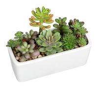 Arborus 18cm Artificial Succulent Plants Faux Mix Succulents in Black Ceramic Pot Artificial Succulents Potted Indoor Fake Plants in Rectangular Pot for Office Home Bathroom Shelf Decor