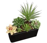 Arborus 18cm Artificial Succulent Plants Faux Mix Succulents in Black Ceramic Pot Artificial Succulents Potted Indoor Fake Plants in Rectangular Pot for Office Home Bathroom Shelf Decor