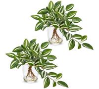Arborus 2pcs Artificial Plants Indoor 9" Small Fake Green Tradescantia Zebrina Plant in Glass Vase with Faux Water Silk Artificial Trailing Plants for Home Office Bathroom Kitchen Table Shelf Decor