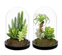 Arborus 2PCS Artificial Succulent Plants in Clear Glass Bell 15CM Fake Succulents Potting Mix Decorative Small Artificial Plants Indoor for Office Shelf Table Centerpiece Decoration