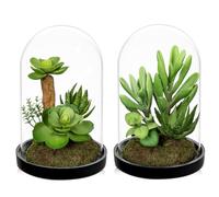 Arborus 2PCS Artificial Succulent Plants in Clear Glass Bell 15CM Small Fake Succulents with Moss Desk Plant Decorative Indoor Office Shelf Window Sill Table Centerpiece Decor