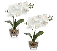 Arborus 2PCS Fake Orchid in Glass Vase 30cm White Orchid Artificial Flowers Faux Orchids Plants Indoor Artificial Phalaenopsis Flower Arrangements for Kitchen Tables Centerpieces Bathroom Shelf Decor