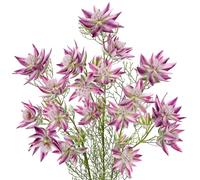 Arborus 3pcs 26" Tall Artificial Flowers Serruria Florida Silk Faux Flowers Long Stems Artificial Serruria Blushing Bride Spray Flower Purple Fake Flower for Vase Floral Arrangements Home Decor