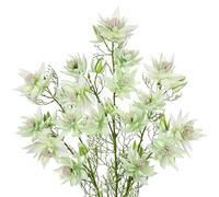 Arborus 3pcs 26" Tall Artificial Flowers Serruria Florida Silk Faux Flowers Long Stems Artificial Serruria Blushing Bride Spray Flower for Floral Arrangements White Green Fake Flower for Home Decor