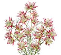 Arborus 3pcs 26" Tall Artificial Flowers Serruria Florida Silk Faux Flowers Long Stems Pink Fake Flower Artificial Serruria Blushing Bride Spray Flower for Vase Floral Arrangements Home Decor