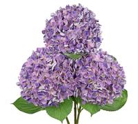 Arborus 3PCS Artificial Hydrangea Flowers 26.3" Long Stem Purple Hydrangea Artificial Flowers Realistic Faux Hydrangeas with 6.6" Large Bloom Fake Silk Flower for Home Wedding Table Centerpiece Decor