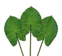 Arborus 3pcs Large Artificial Alocasia Leaves with Long Stem Fake Tropical Plants Real Touch Elephant Ear Leaves Green Faux Foliages for Flower Arrangement Home Garden Party Office Decoration