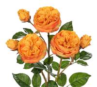 Arborus 3pcs Real Touch Artificial Roses 23.6" Long Stem Orange Garden Roses Faux Silk Flowers Realistic Artificial Flowers for Vase Wedding Table Centerpieces Floral Arrangements Home Décor