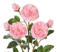 Arborus 3pcs Real Touch Artificial Roses 23.6" Long Stem Pink Garden Roses Artificial Flowers Realistic Faux Silk Flowers for Vase Wedding Bouquets Table Centerpieces Floral Arrangements Home Décor