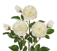 Arborus 3pcs Real Touch Artificial Roses 23.6" Long Stem White Garden Roses Artificial Flowers Realistic Faux Silk Flowers for Vase Wedding Bouquets Table Centerpieces Floral Arrangements Home Décor