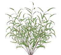 Arborus 5pcs Artificial Eucalyptus Stems 44.5" Long Stem Fake Eucalyptus Leaves for Tall Vases Faux Twisted Willow Branches Green Foliage for Flower Arrangement Bouquets Wedding Home Spring Decoration