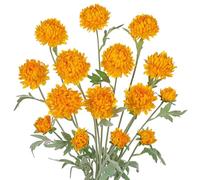 Arborus 5pcs Autumn Chrysanthemum Flowers Stems 27.5'' Tall Artificial Yellow Flower Fake Silk Chrysanthemum Flower Faux Autumnal Flowers for Crafts Vase Home Wedding Fall Table Centerpiece Décor