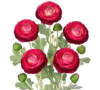 Arborus 5pcs Fake Flowers Real Touch Faux Ranunculus Stem 19.7" Tall Artificial Ranunculus Realistic Artificial Flowers Red Silk Flowers Long Stem for Floral Arrangement Home Office Wedding Decor