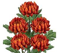 Arborus 5pcs Long Stem Artificial Flowers for Tall Vase 3" Large Fake Chrysanthemum Flower 22.8" Tall Artificial Flowers Orange Faux Silk Flower with Green Leaf for Flora Arrangement Spring Home Decor